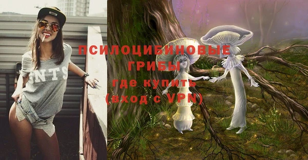 сатива Алексин