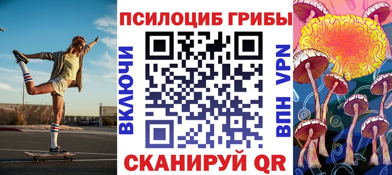 Галлюциногенные грибы Psilocybe  Лениногорск 